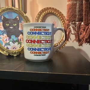 Vintage | 1970s retro multicolor Connecticut mug